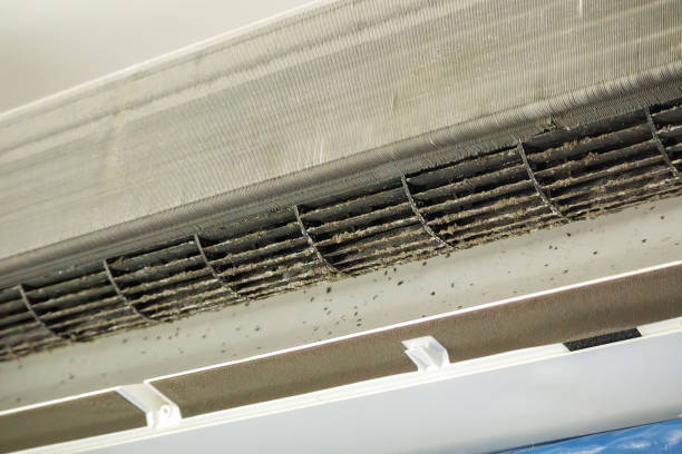 Best Emergency Air Duct Cleaning  in Mercerville, NJ